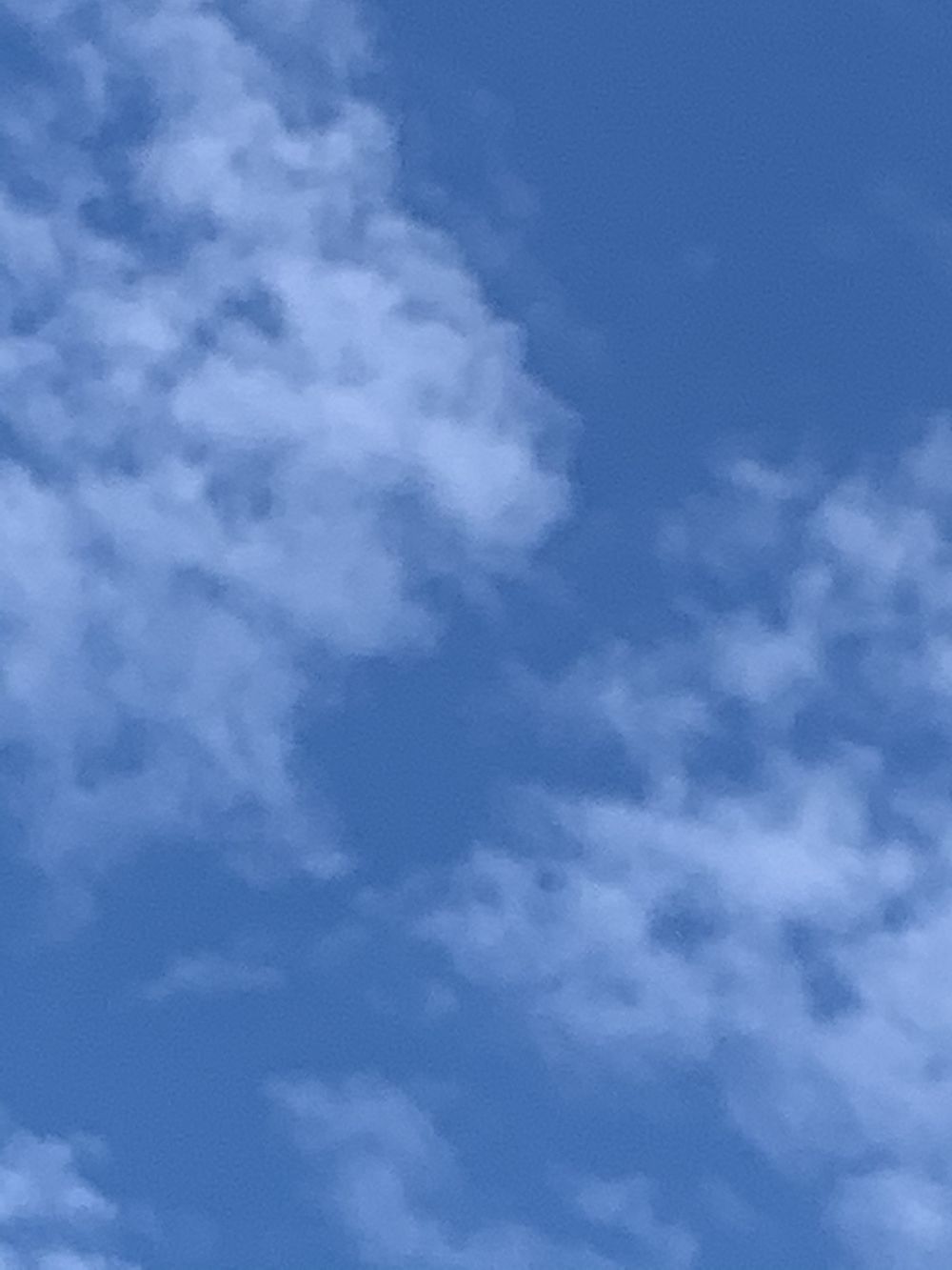 scary42069 OnlyFans profile picture