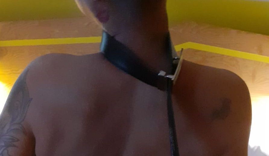 cecoquin OnlyFans profile picture