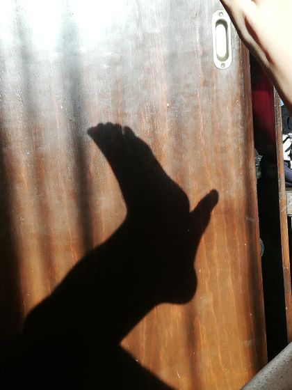 girlmonniefeet OnlyFans picture
