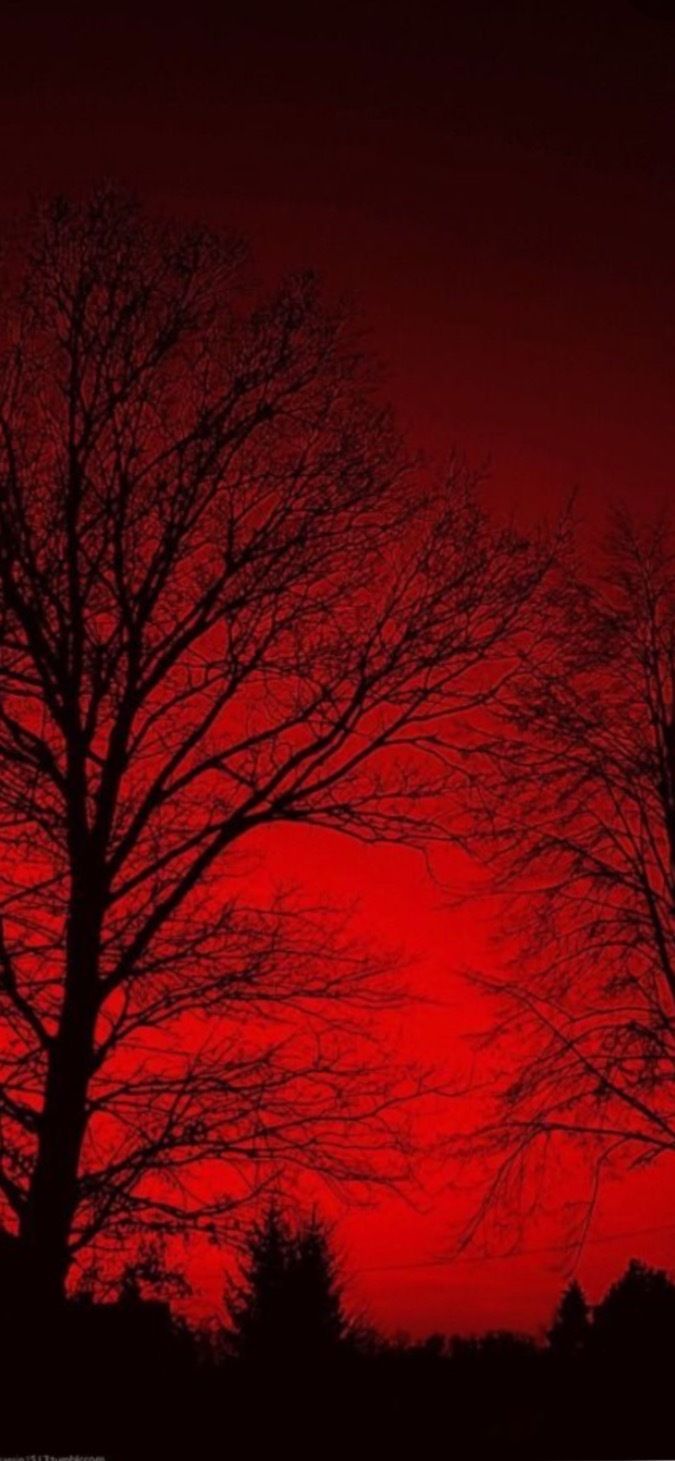 demonic_trash666 OnlyFans profile picture