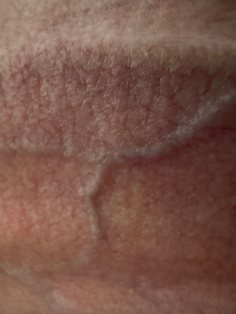sacetoetouch OnlyFans profile picture