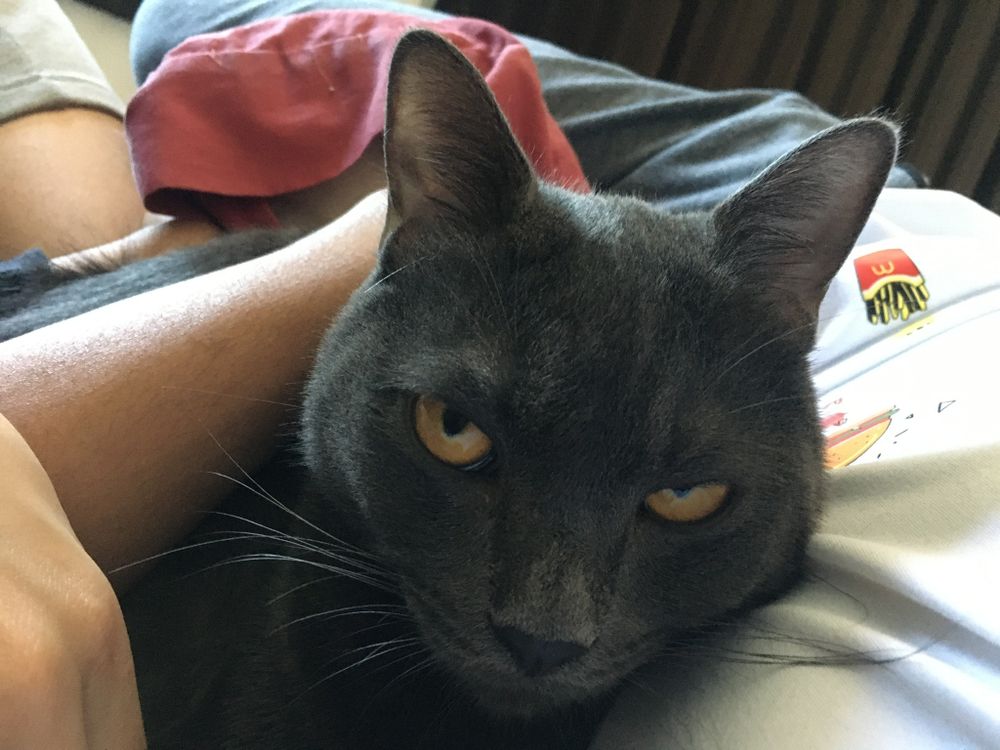 khunpond2002 OnlyFans profile picture