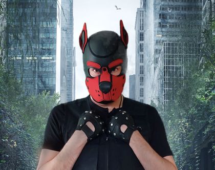 pupdominix OnlyFans picture