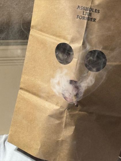 thatboybaggie OnlyFans picture