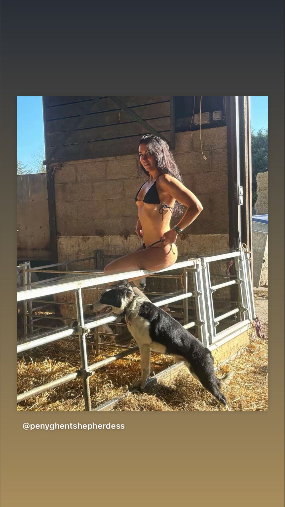 penyghentshepherdess OnlyFans profile picture