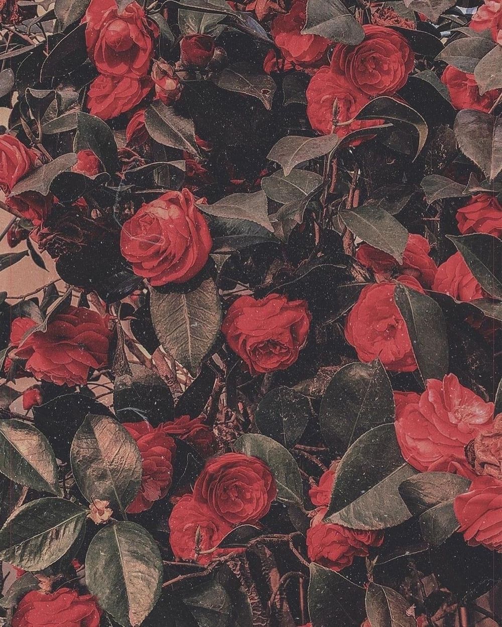 valentinesplayroom OnlyFans profile picture