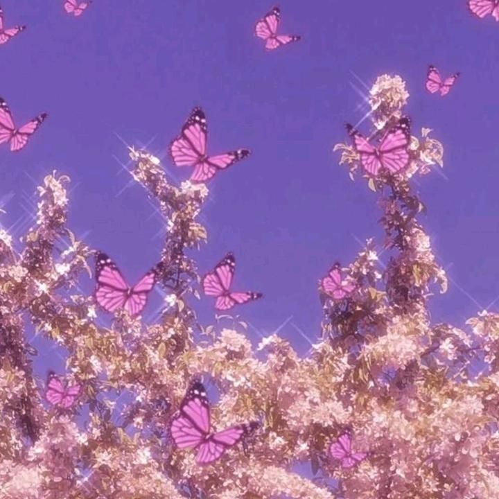 violet-roses OnlyFans profile picture
