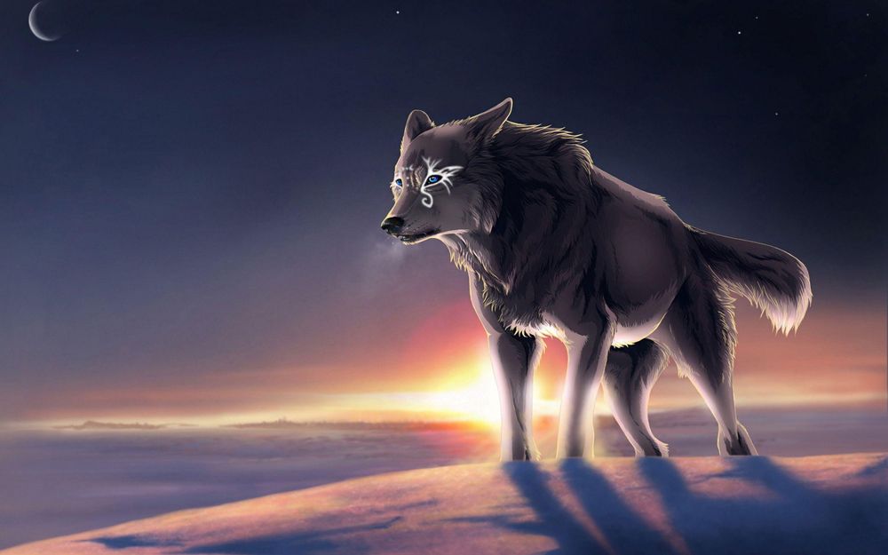 wolfpositivity OnlyFans profile picture