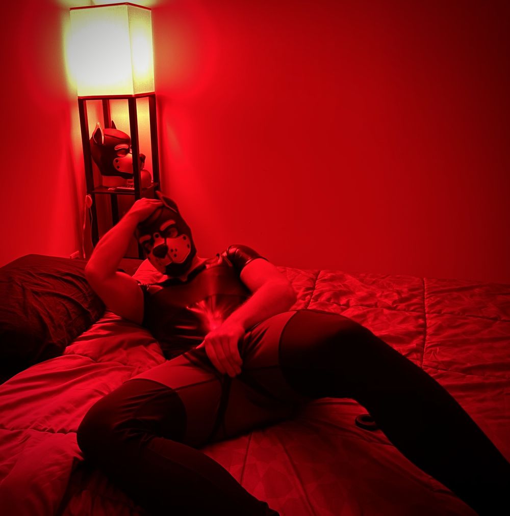 u88233644 OnlyFans profile picture