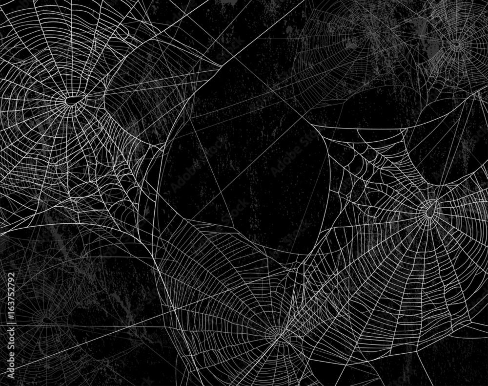 spidertits OnlyFans profile picture
