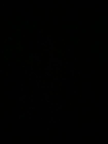 blackbaddd OnlyFans picture