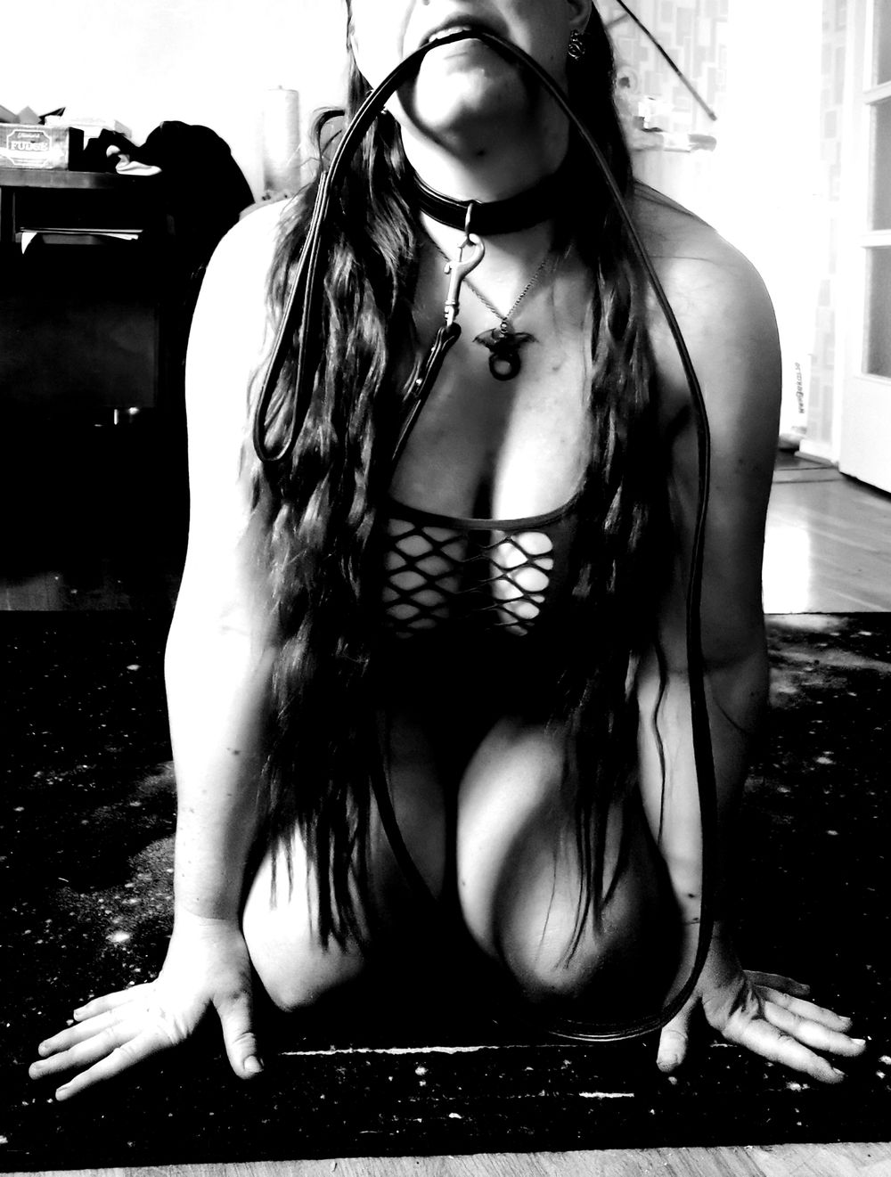 swedishminx88 OnlyFans profile picture