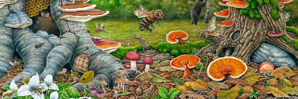 eden_amanita OnlyFans profile picture