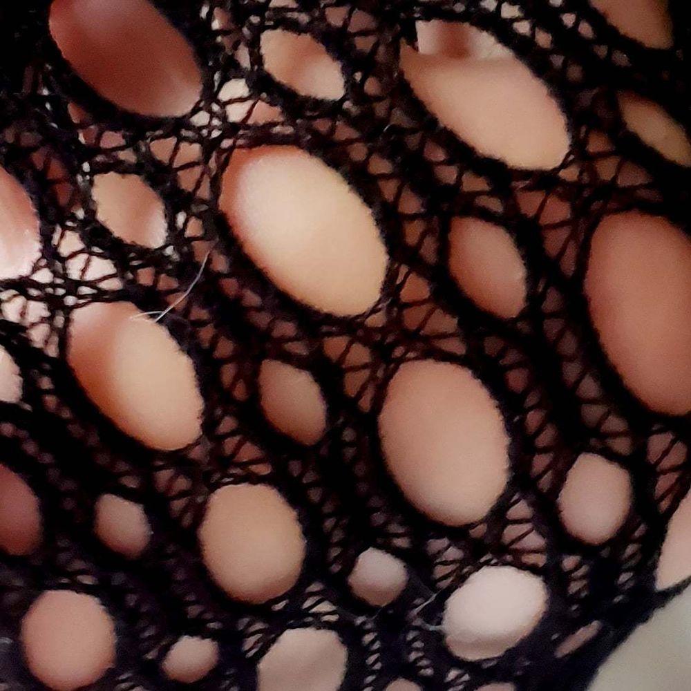 theturtlestoes OnlyFans profile picture