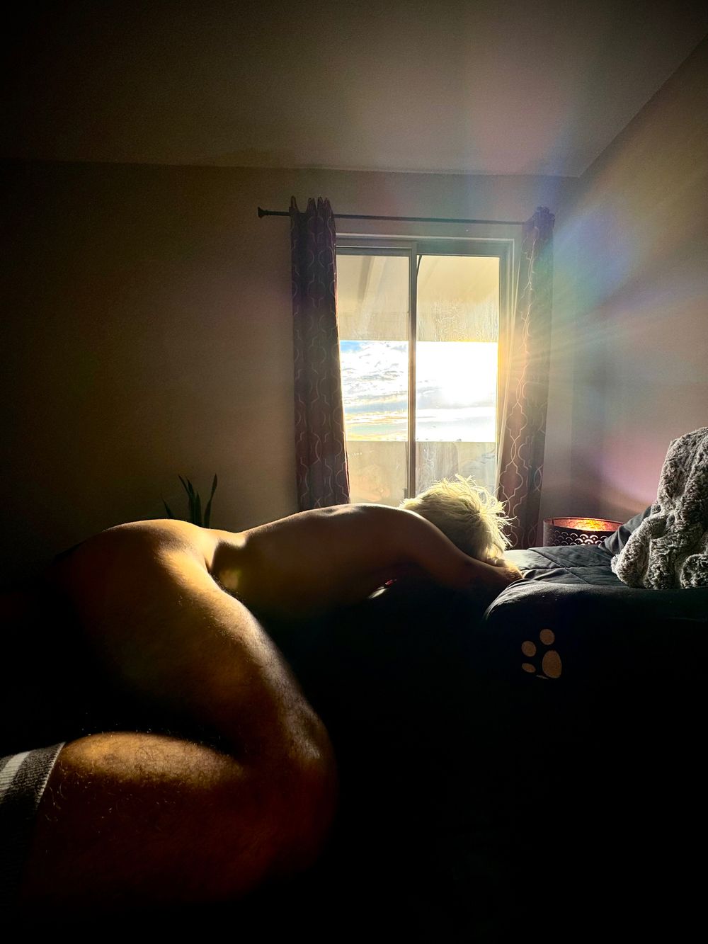 mr.poke303 OnlyFans profile picture