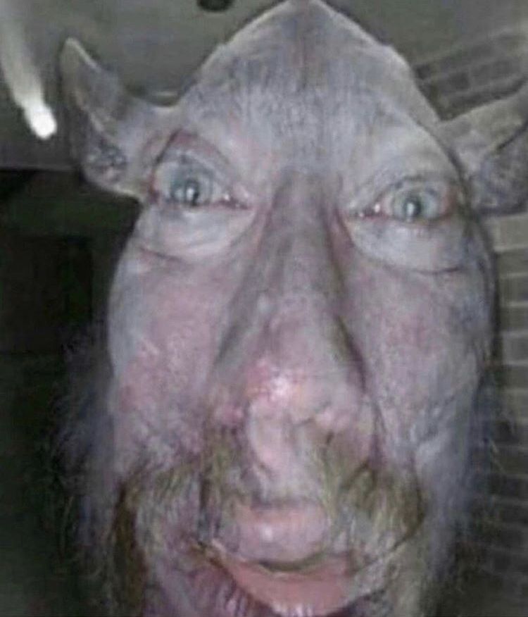 itscalledhentai OnlyFans profile picture