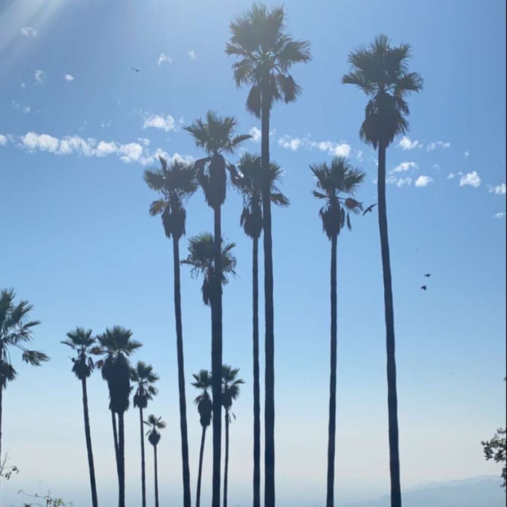 westcoastlove OnlyFans profile picture