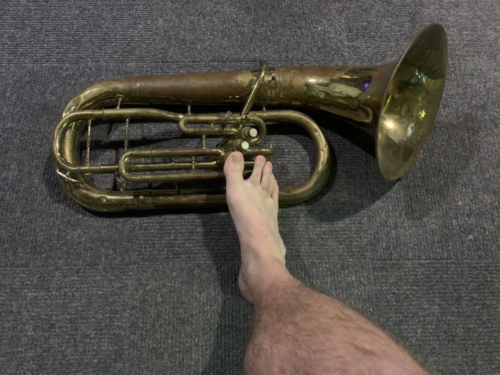 tuba_toes OnlyFans profile picture