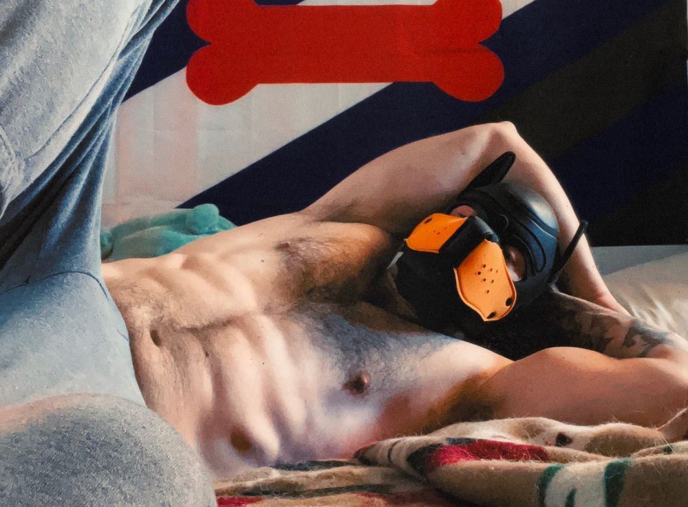 goodboybash OnlyFans profile picture