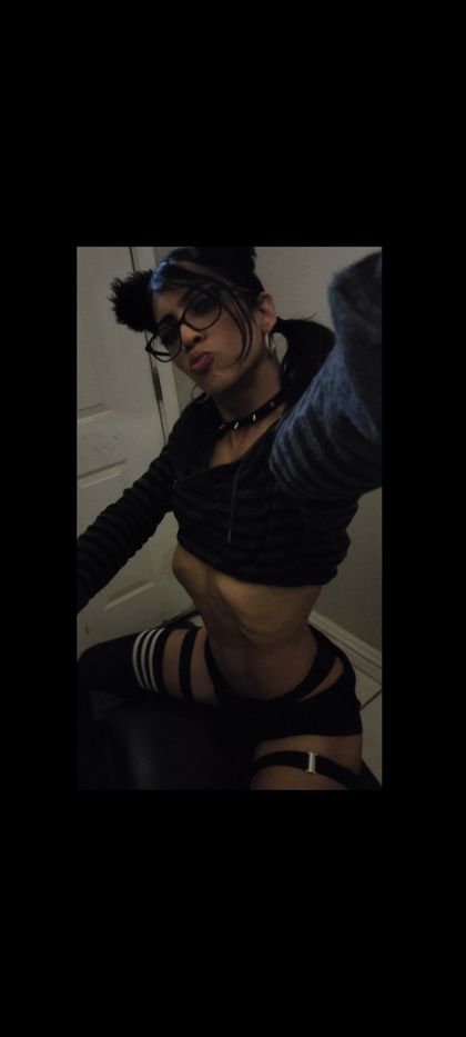 alexithekat OnlyFans picture