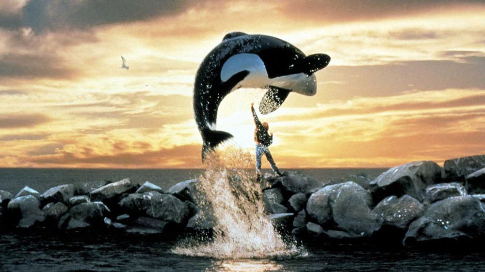 free_willy OnlyFans profile picture