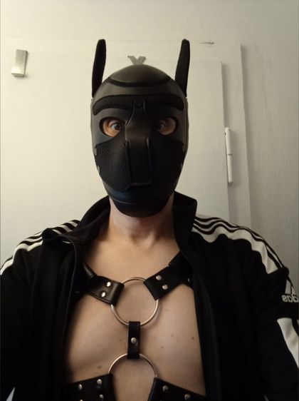 abficken OnlyFans picture