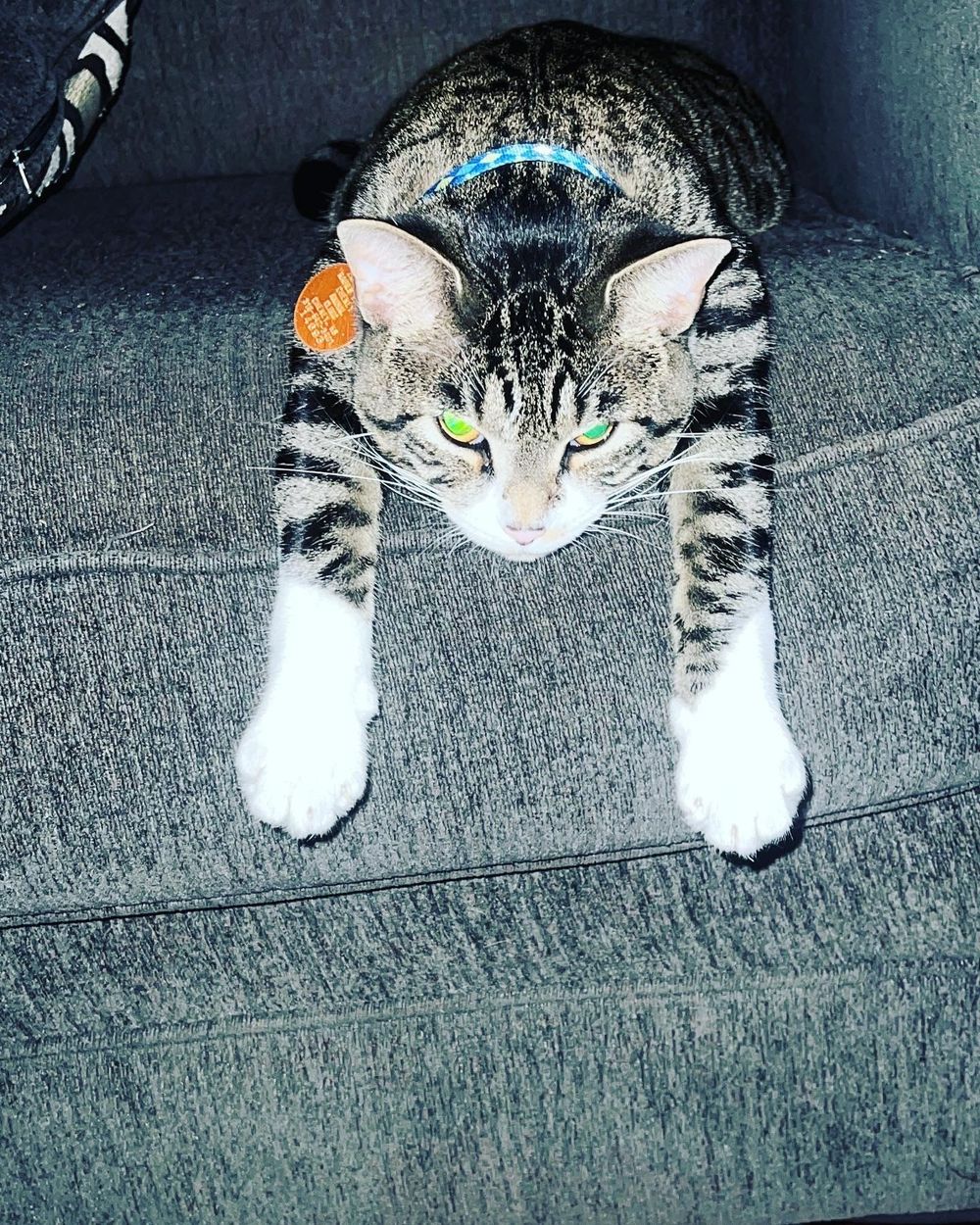 kinkybabyunderthesun OnlyFans profile picture
