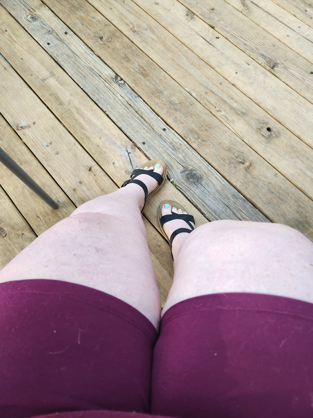 theplumppumpkin OnlyFans profile picture