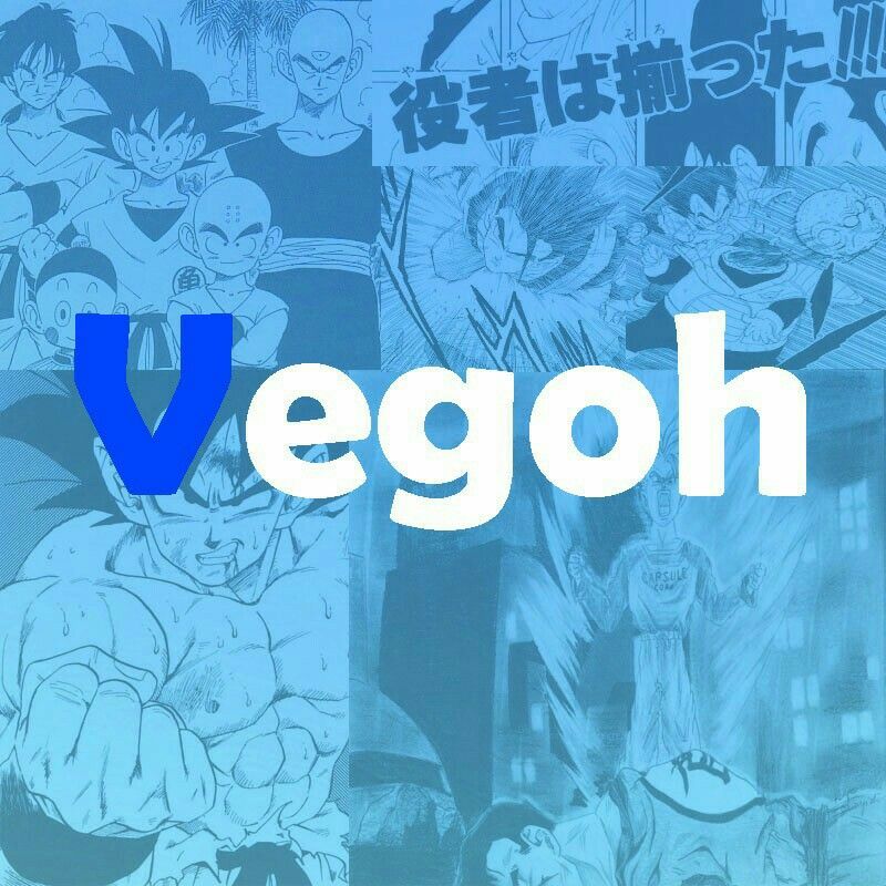 vegohtaria OnlyFans profile picture