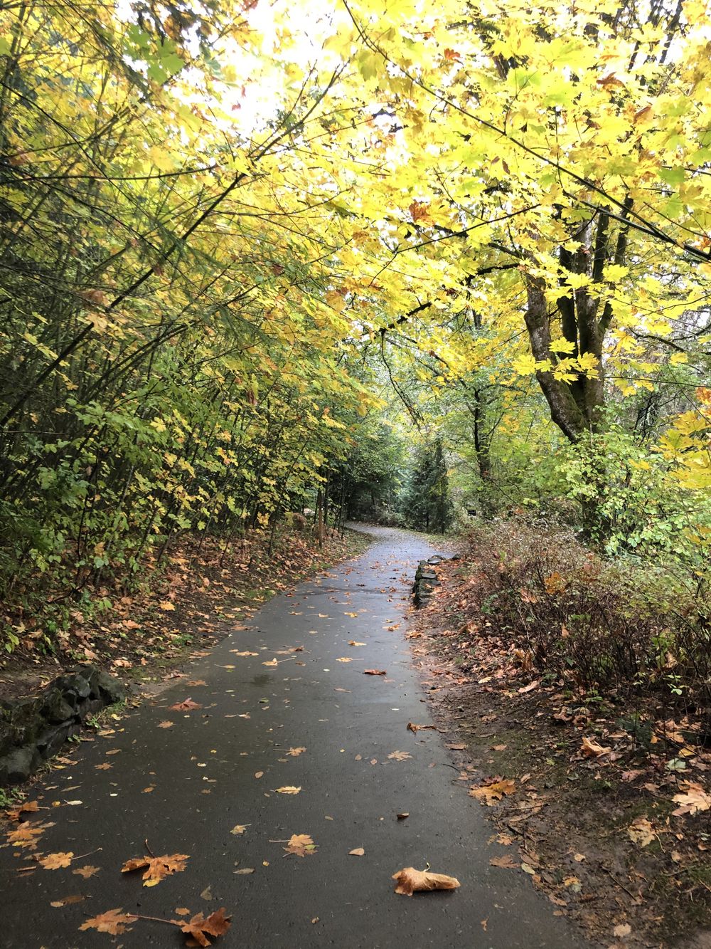 u123580308 OnlyFans profile picture