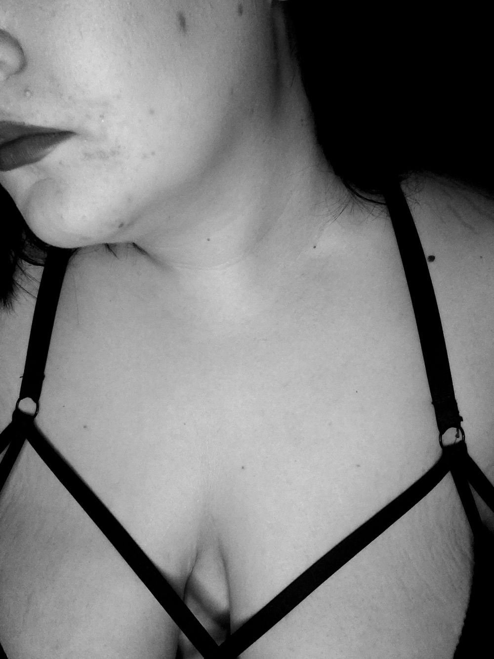 plus_mayley OnlyFans profile picture