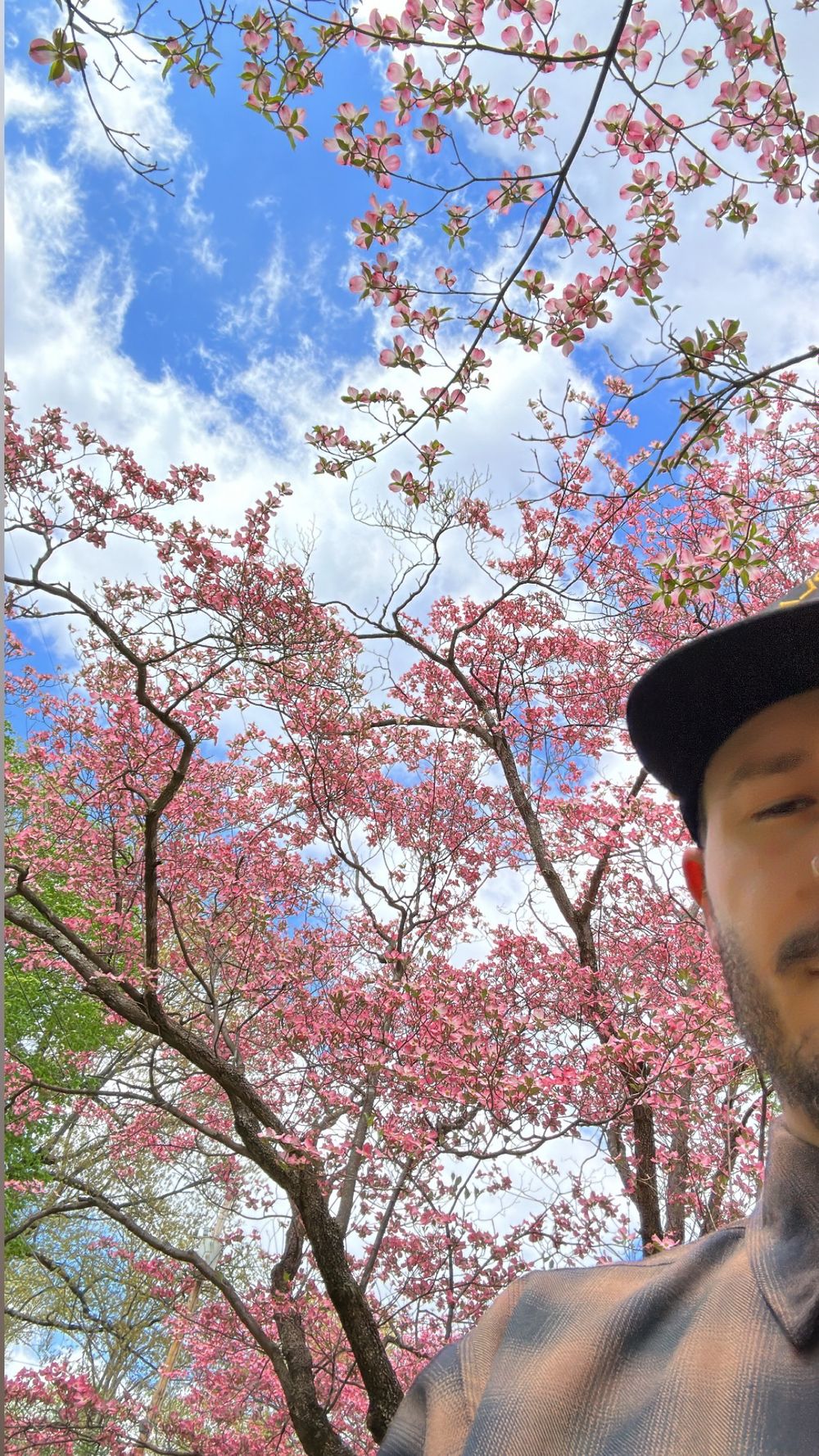 neverneverland OnlyFans profile picture