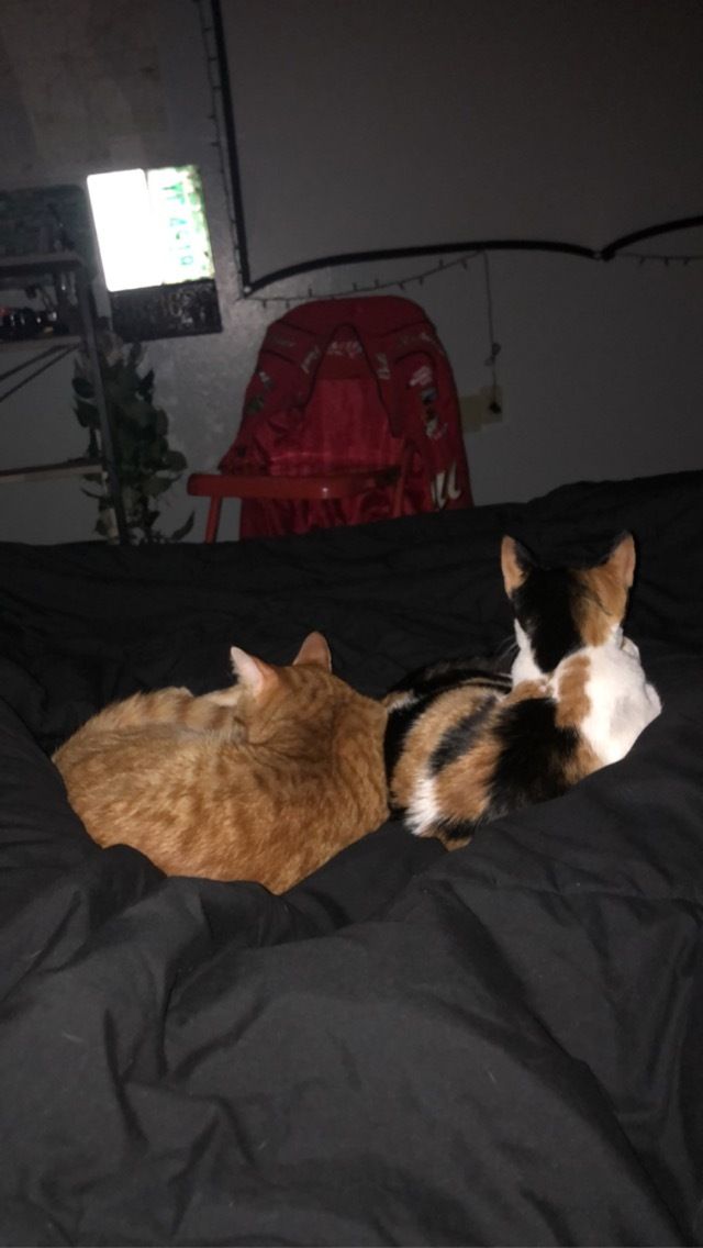 bakedpotato9696 OnlyFans profile picture