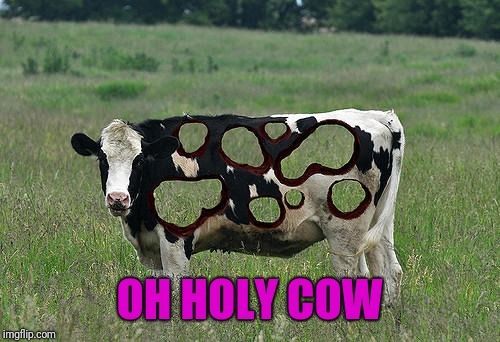 urholycow OnlyFans profile picture
