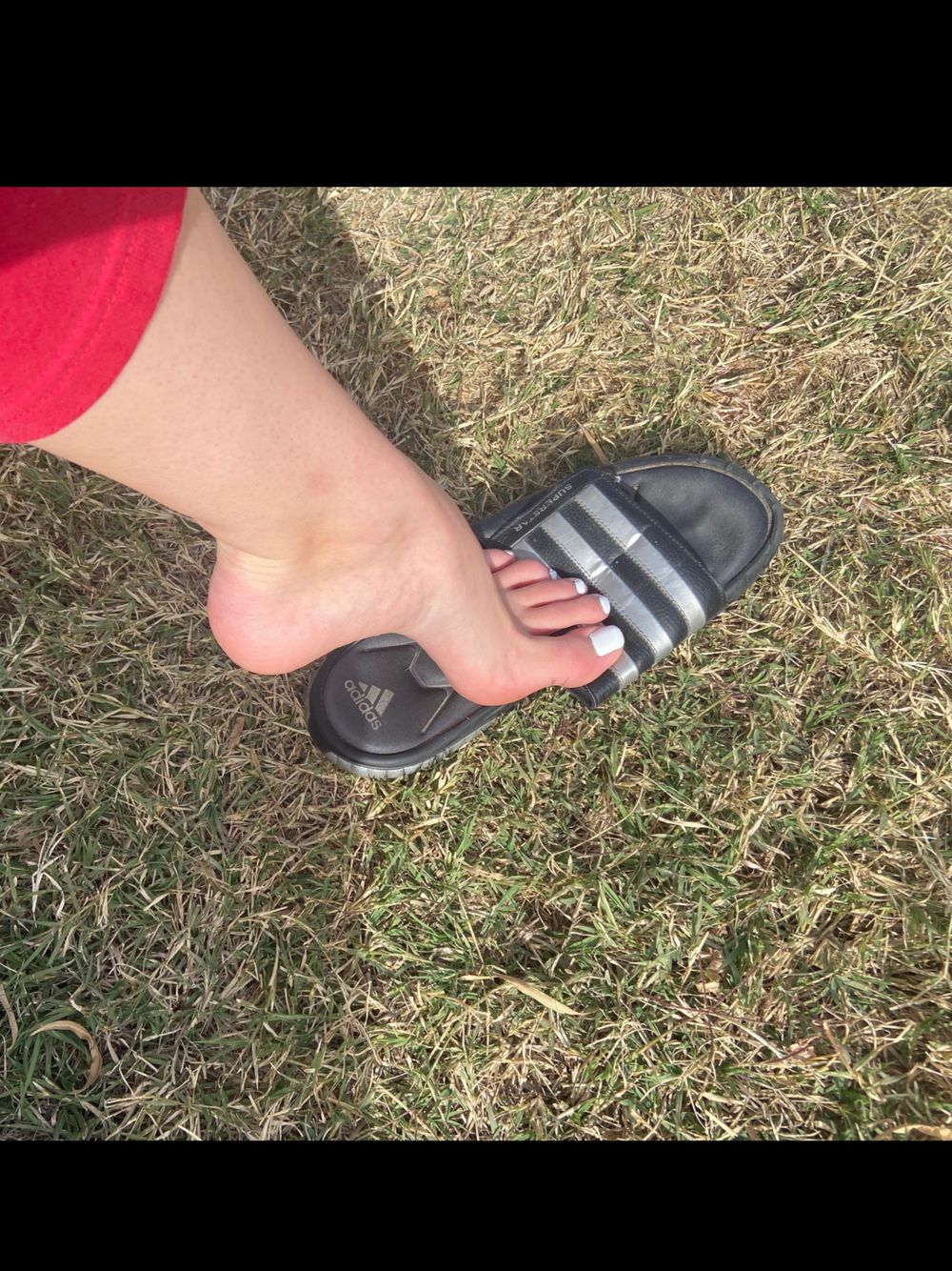 daddysfeet12 OnlyFans profile picture