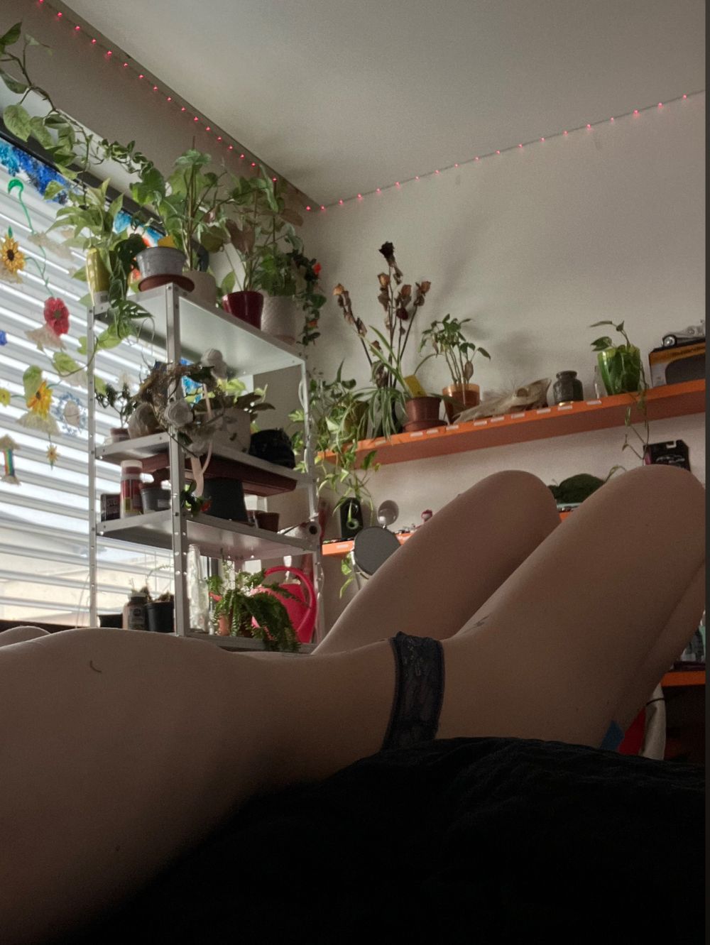 klaruska669 OnlyFans profile picture