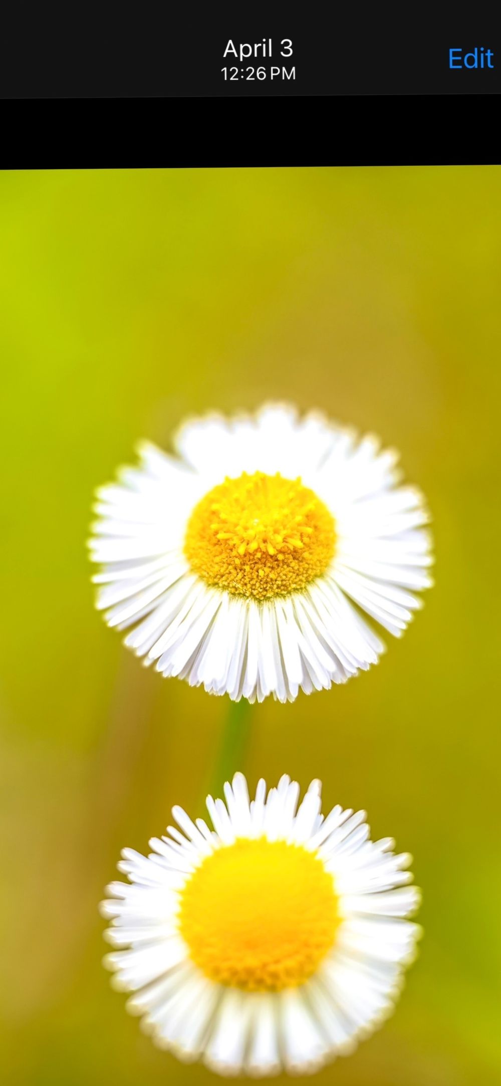 jaydenad OnlyFans profile picture
