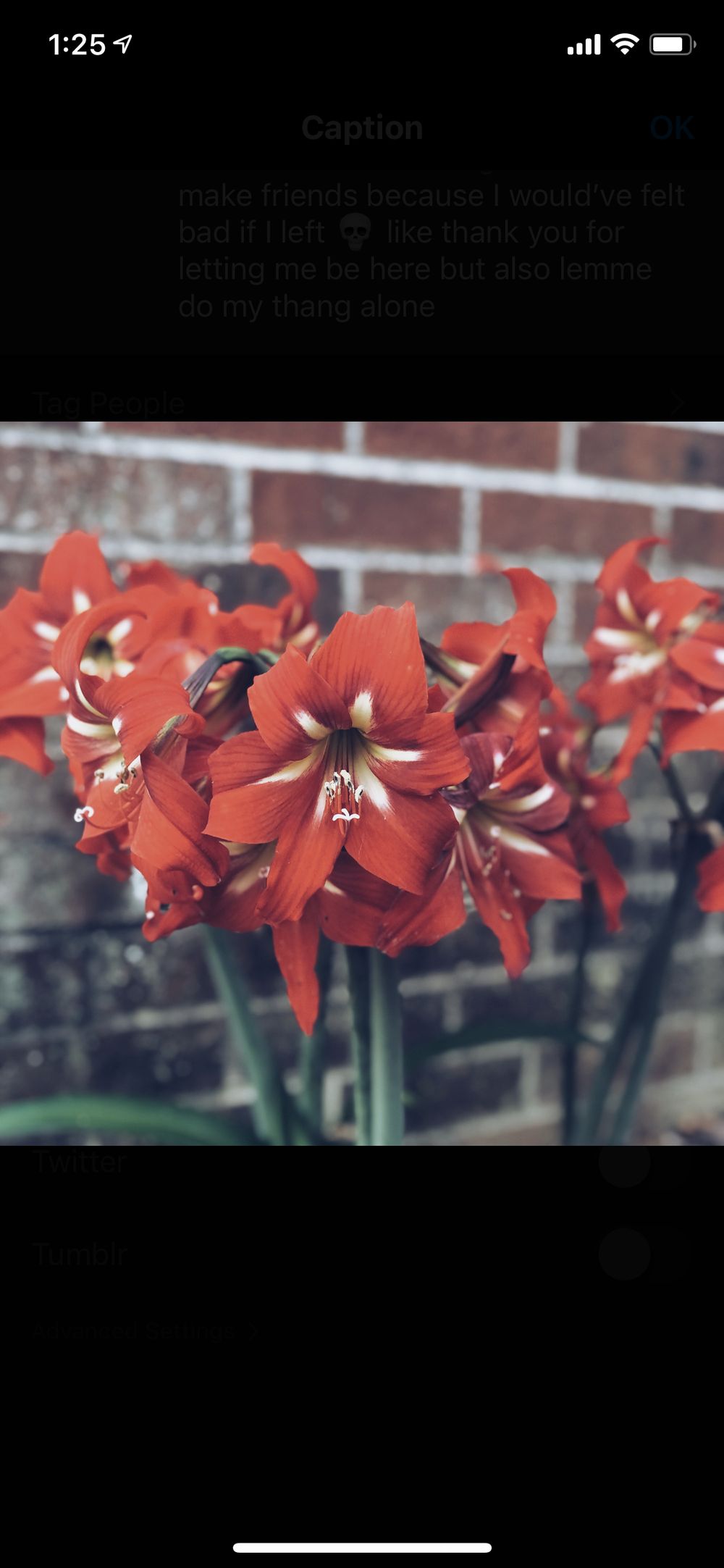phytophilous OnlyFans profile picture
