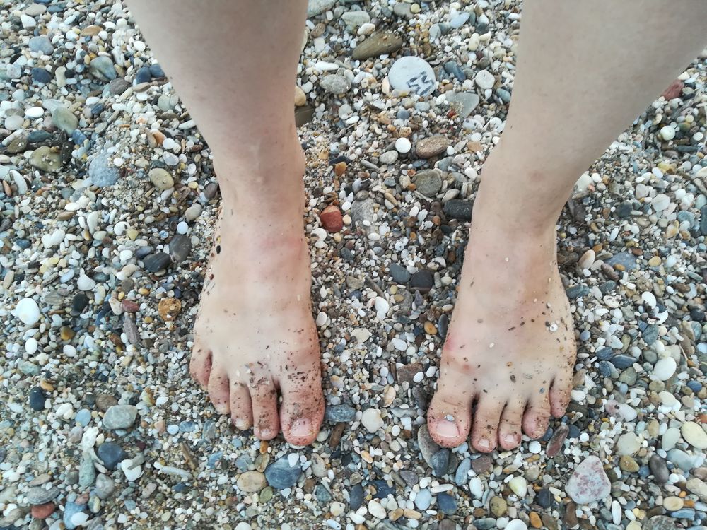 barefoothippytoes OnlyFans profile picture