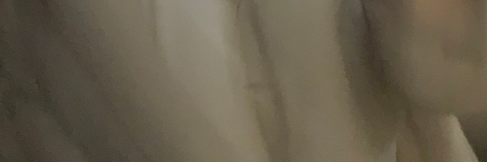 malikabadixxx OnlyFans profile picture