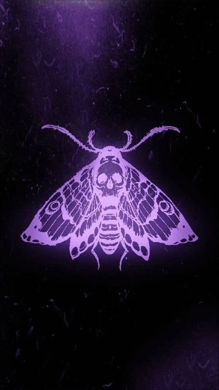 bizarrebeaute OnlyFans profile picture
