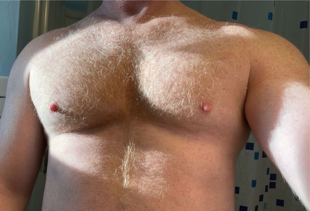 gingybear OnlyFans profile picture