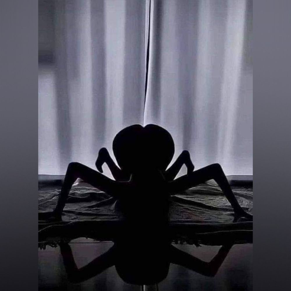 steffireyes OnlyFans profile picture