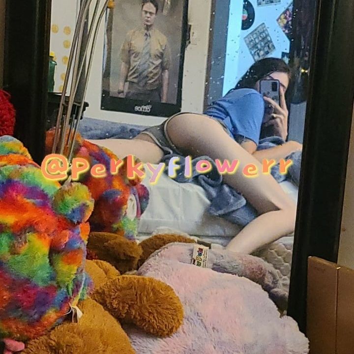 perkyflower OnlyFans profile picture