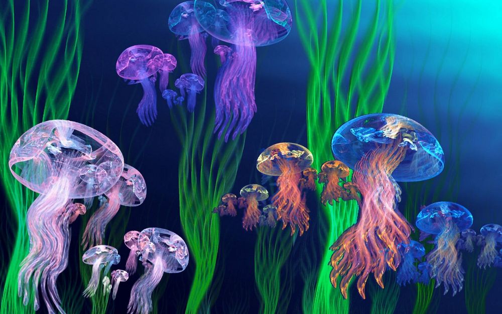 dat.jellyfish OnlyFans profile picture