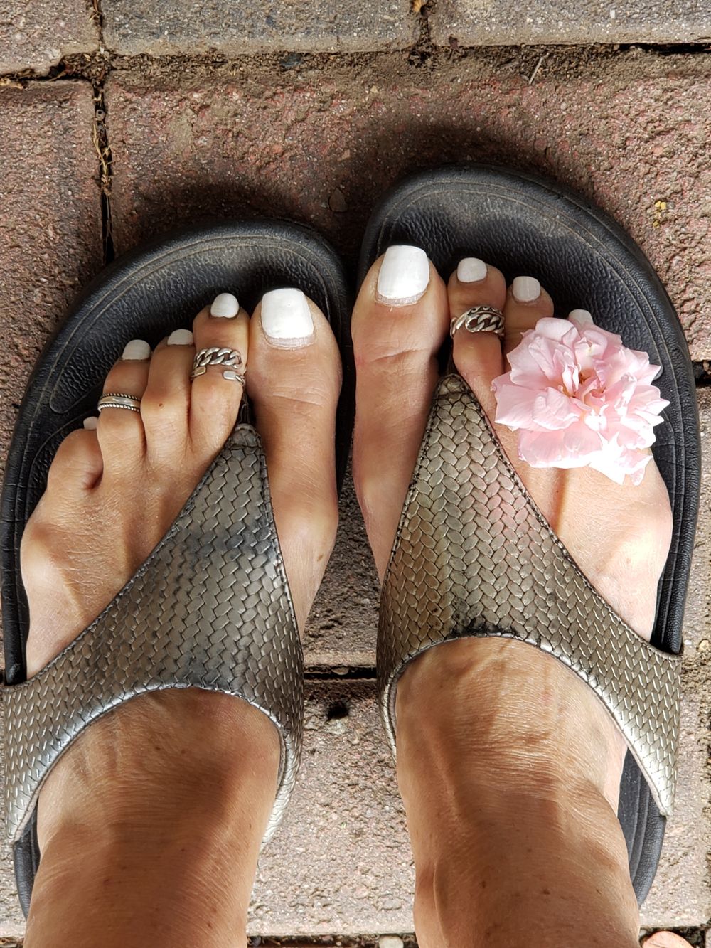 tiegertoes OnlyFans profile picture
