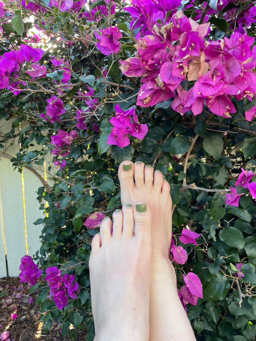 angelinatolie OnlyFans profile picture