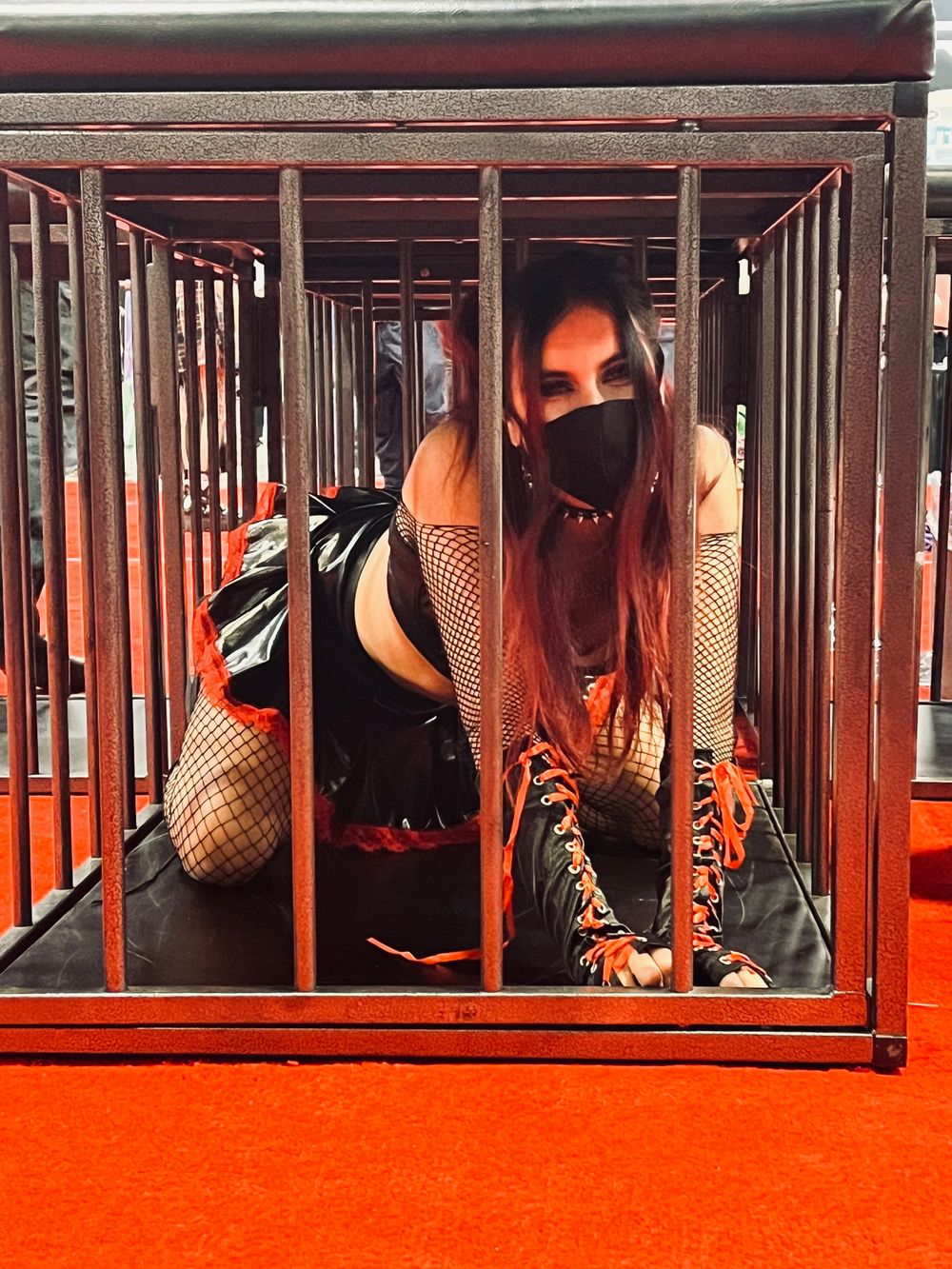dominatetrixxfree OnlyFans profile picture