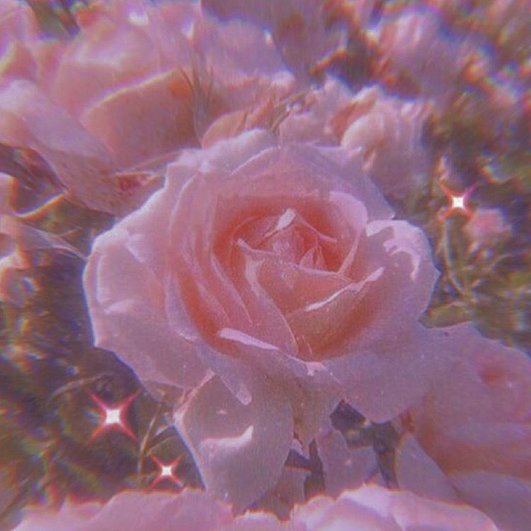 juiciestfruit OnlyFans profile picture