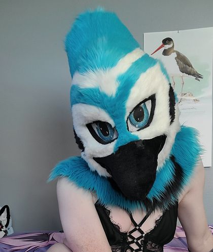 saphiretail OnlyFans picture